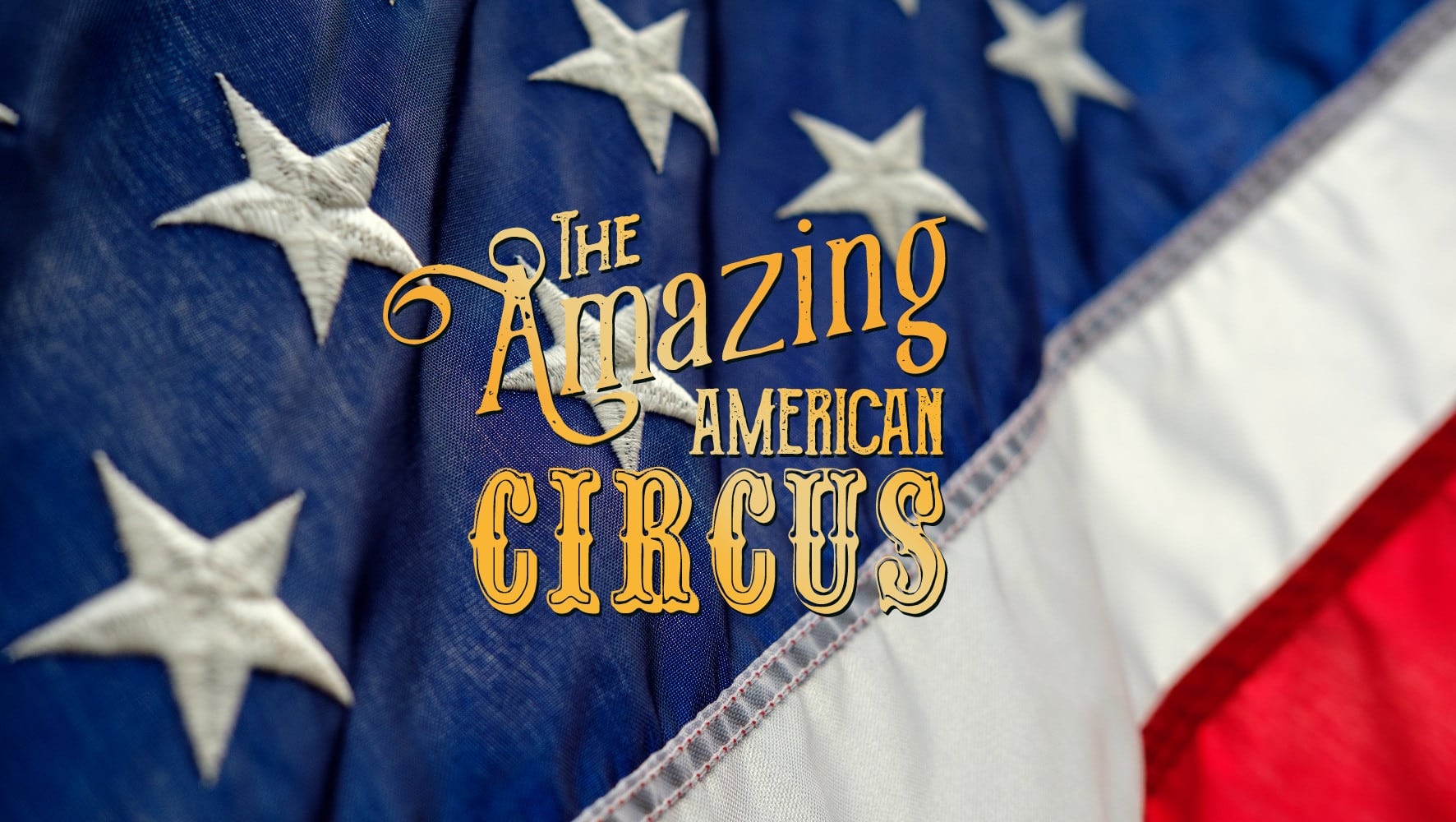 amazing american circus