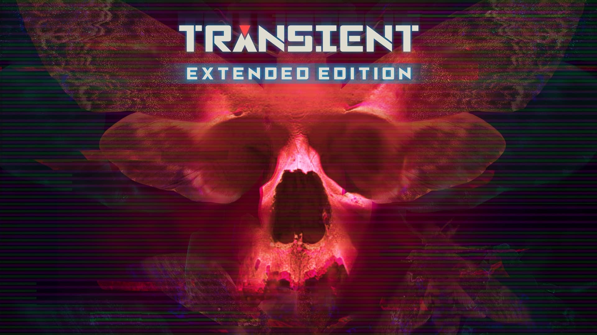 transient playstation